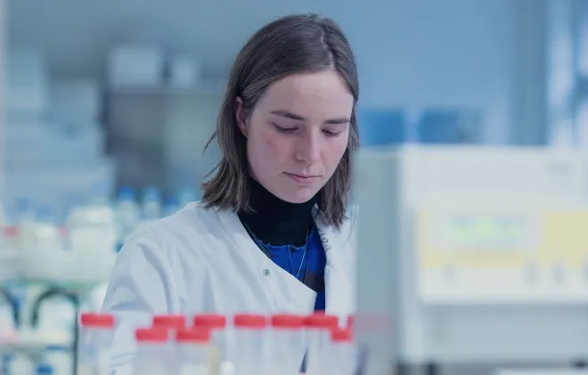 Masschelein lab