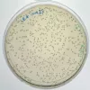 CRISPR